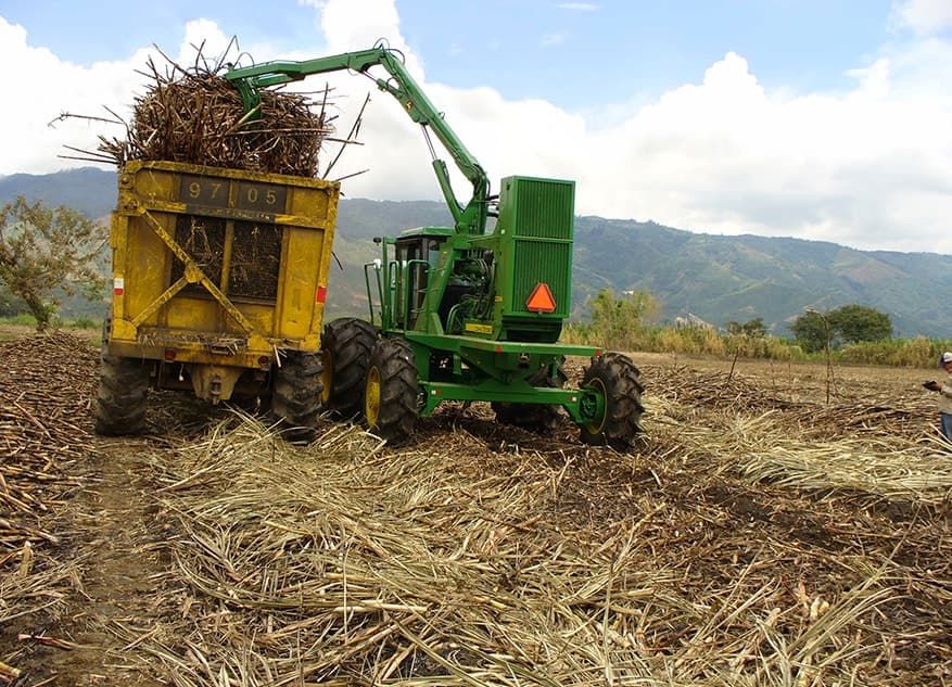 Cargador de caña John Deere trabajando en campo