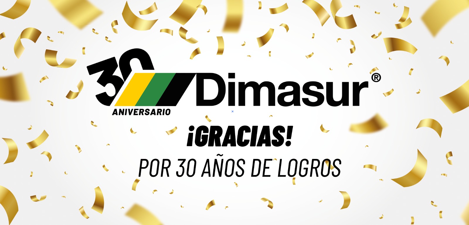 Misión Dimasur