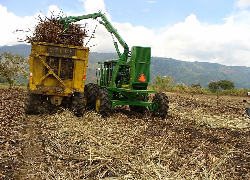 Cargador de caña John Deere trabajando en campo